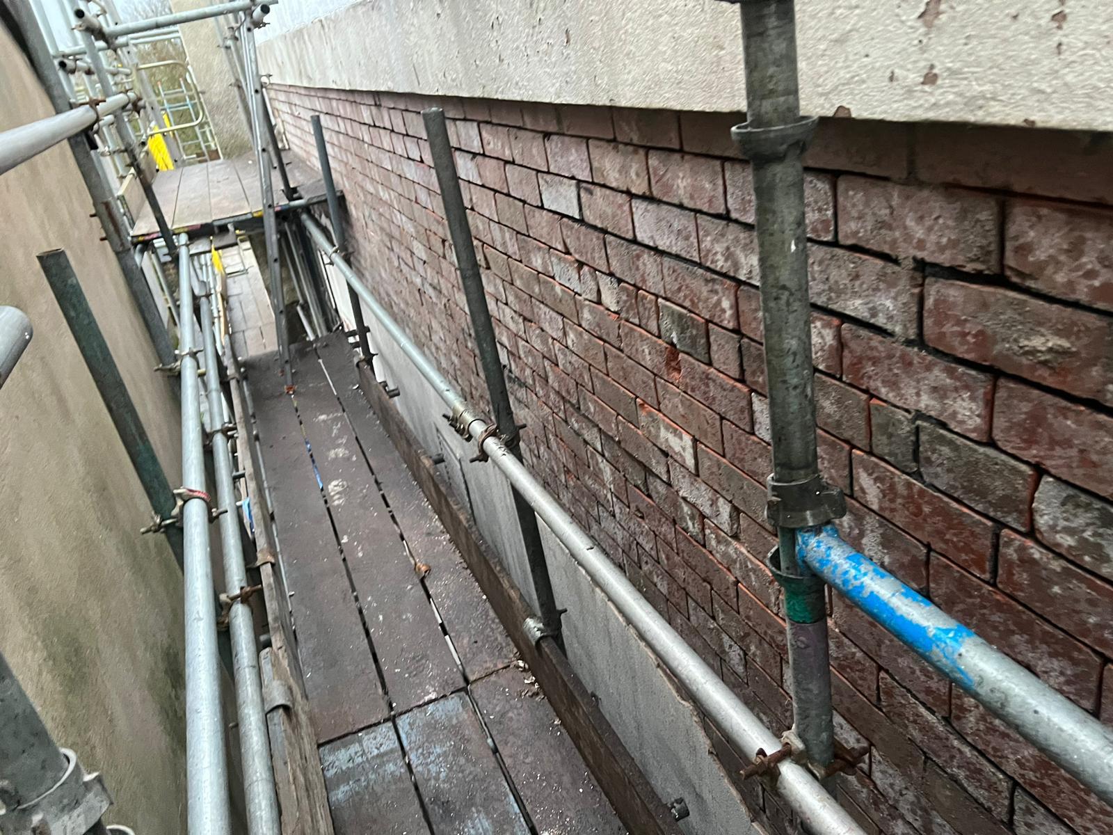 Silicone render application