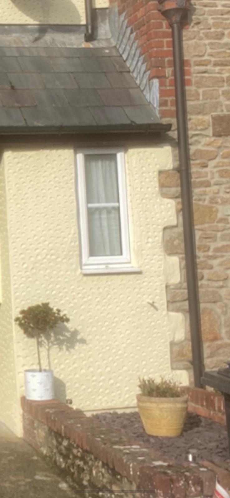 Exterior render finish