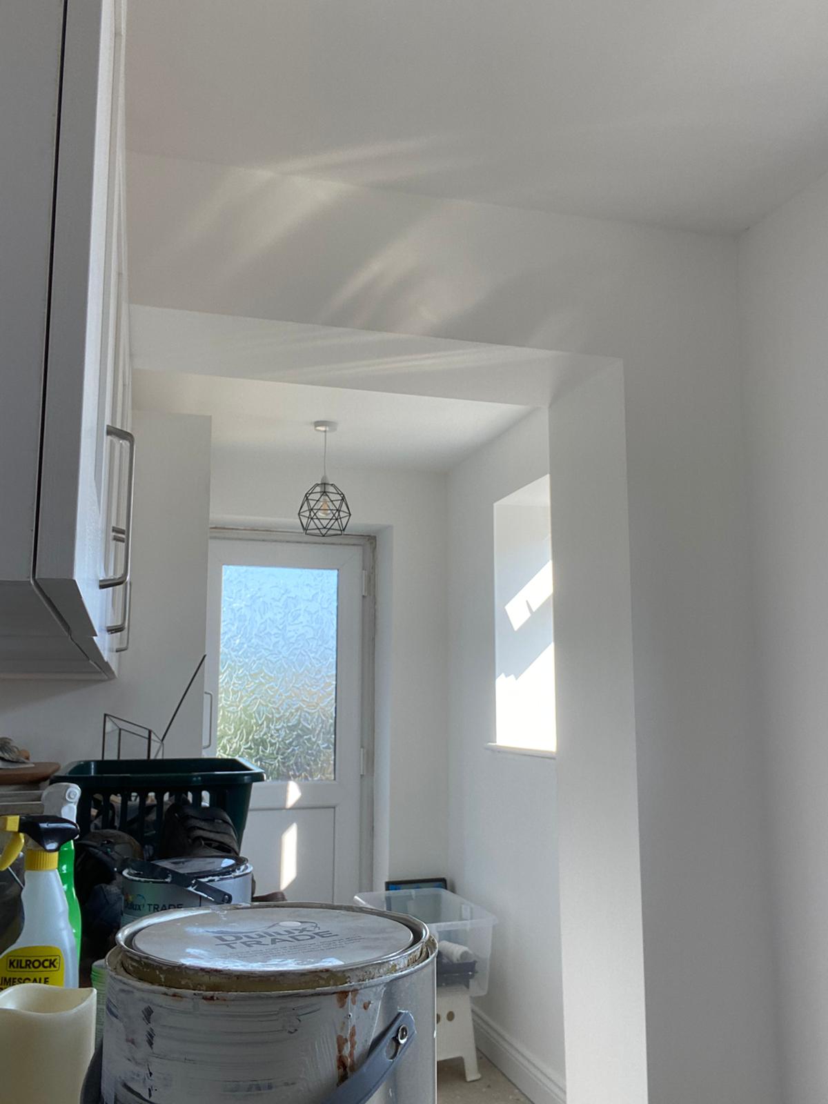 Silicone render project